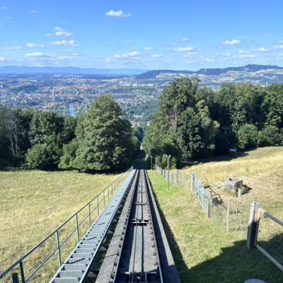 Mittel Img 2623