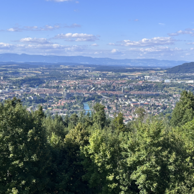Mittel Img 2628